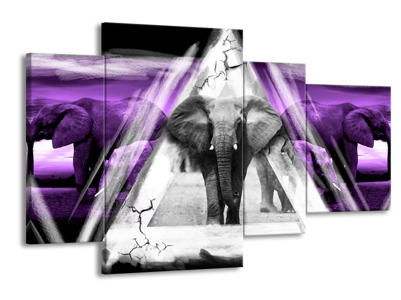 Glasschilderij Olifant, Dieren | Paars, Grijs, Zwart | 120x75cm 4Luik