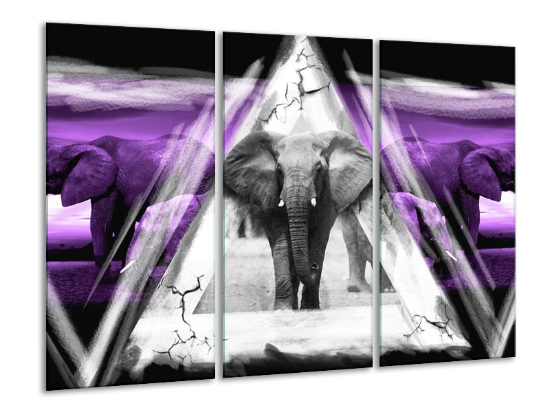 Glasschilderij Olifant, Dieren | Paars, Grijs, Zwart | 120x80cm 3Luik