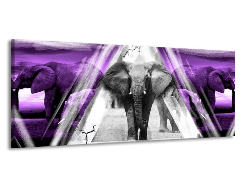 Canvas Schilderij Olifant, Dieren | Paars, Grijs, Zwart | 145x58cm 1Luik