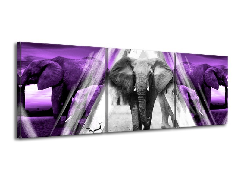 Glasschilderij Olifant, Dieren | Paars, Grijs, Zwart | 150x50cm 3Luik