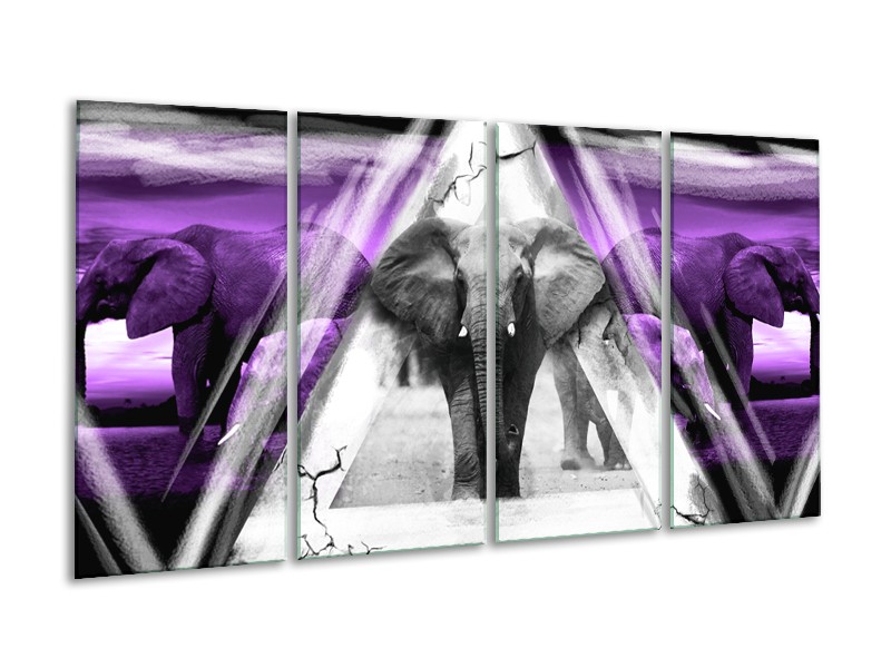 Glasschilderij Olifant, Dieren | Paars, Grijs, Zwart | 160x80cm 4Luik