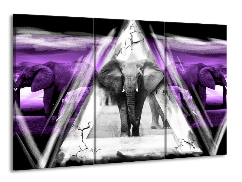 Canvas Schilderij Olifant, Dieren | Paars, Grijs, Zwart | 165x100cm 3Luik