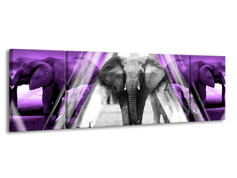 Glasschilderij Olifant, Dieren | Paars, Grijs, Zwart | 170x50cm 3Luik