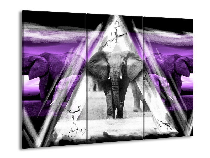 Canvas Schilderij Olifant, Dieren | Paars, Grijs, Zwart | 60x90cm 3Luik
