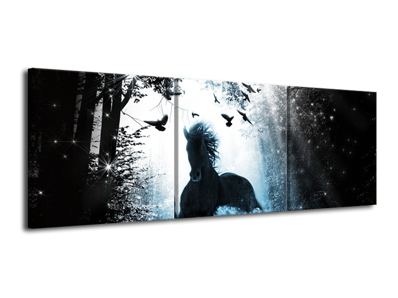 Glasschilderij Paard, Dieren | Blauw, Zwart, Wit | 120x40cm 3Luik