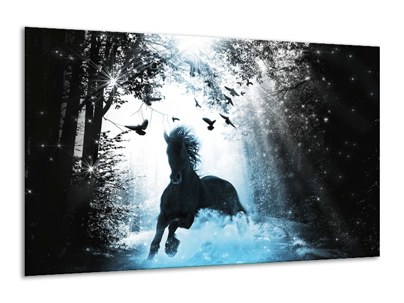 Canvas Schilderij Paard, Dieren | Blauw, Zwart, Wit | 120x70cm 1Luik