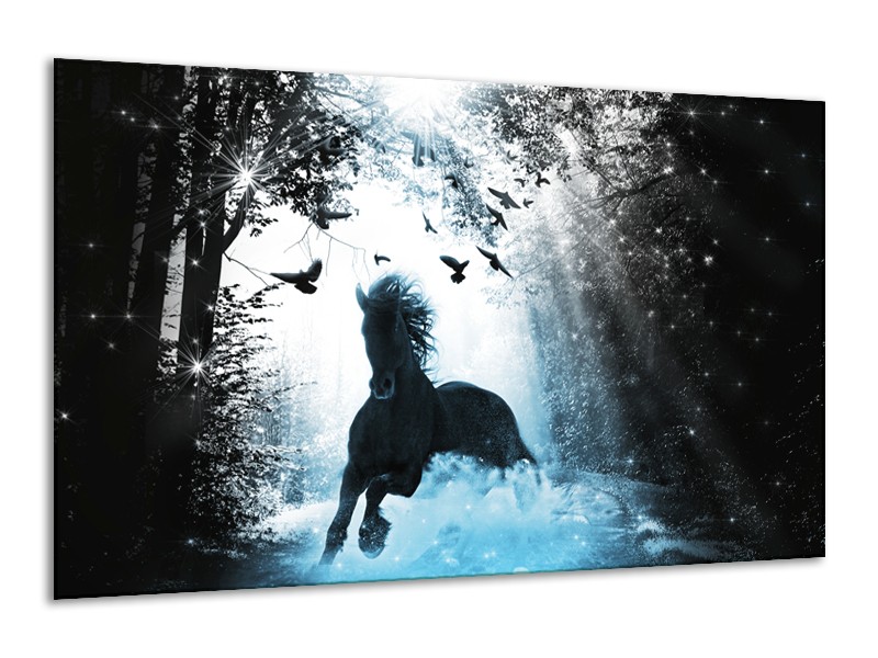 Glasschilderij Paard, Dieren | Blauw, Zwart, Wit | 120x70cm 1Luik