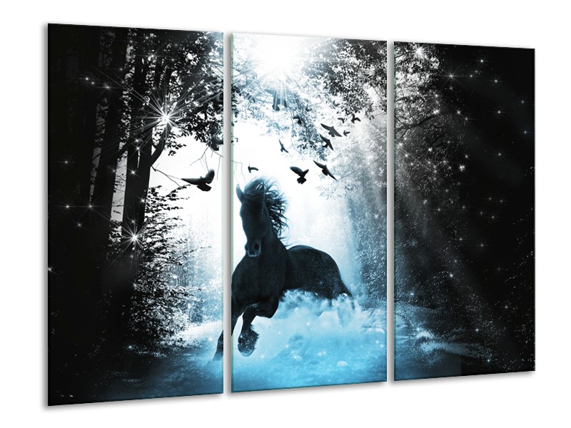 Canvas Schilderij Paard, Dieren | Blauw, Zwart, Wit | 120x80cm 3Luik