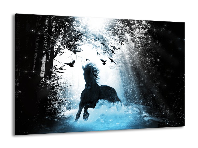 Glasschilderij Paard, Dieren | Blauw, Zwart, Wit | 140x90cm 1Luik
