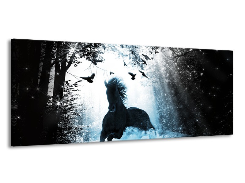 Glasschilderij Paard, Dieren | Blauw, Zwart, Wit | 145x58cm 1Luik