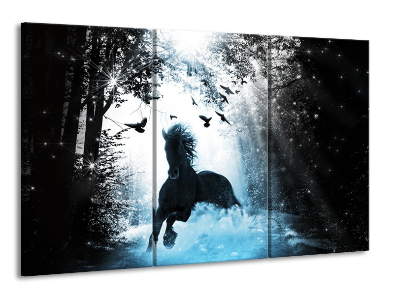 Canvas Schilderij Paard, Dieren | Blauw, Zwart, Wit | 165x100cm 3Luik