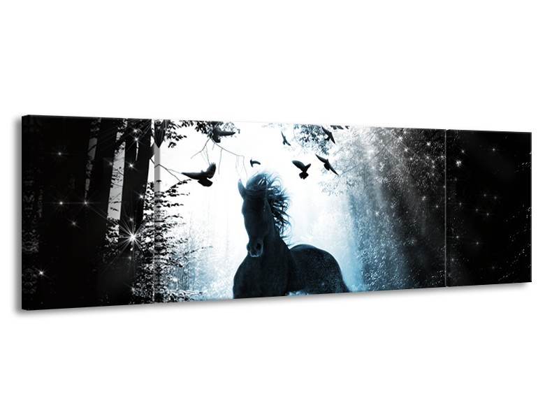 Glasschilderij Paard, Dieren | Blauw, Zwart, Wit | 170x50cm 3Luik