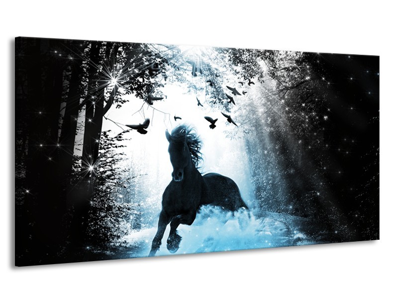 Canvas Schilderij Paard, Dieren | Blauw, Zwart, Wit | 170x90cm 1Luik