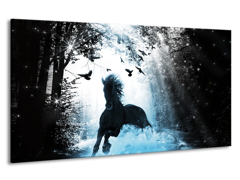 Canvas Schilderij Paard, Dieren | Blauw, Zwart, Wit | 190x100cm 1Luik