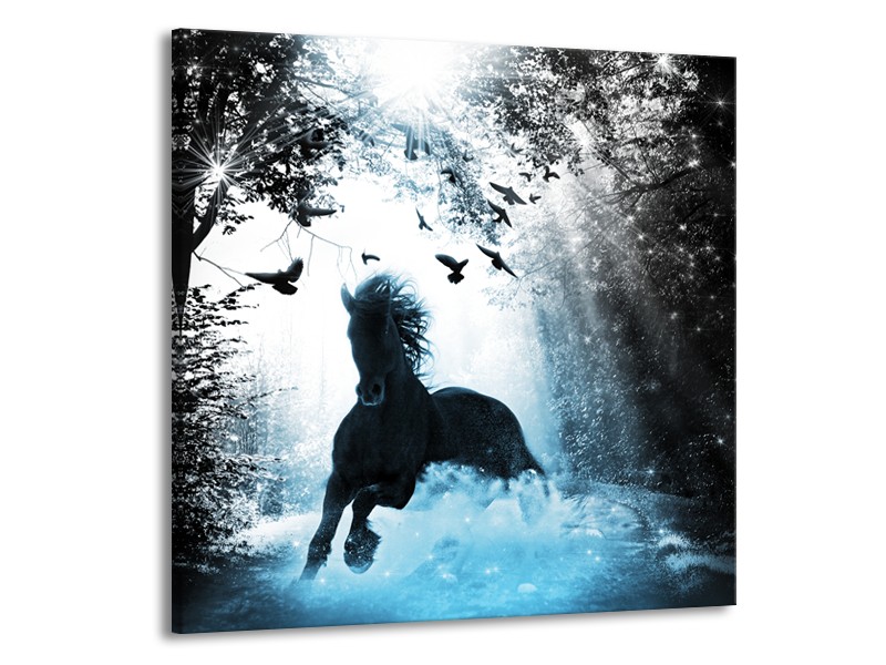 Canvas Schilderij Paard, Dieren | Blauw, Zwart, Wit | 50x50cm 1Luik
