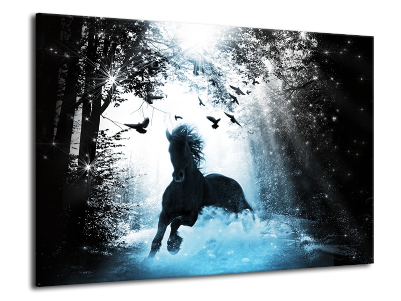 Glasschilderij Paard, Dieren | Blauw, Zwart, Wit | 70x50cm 1Luik