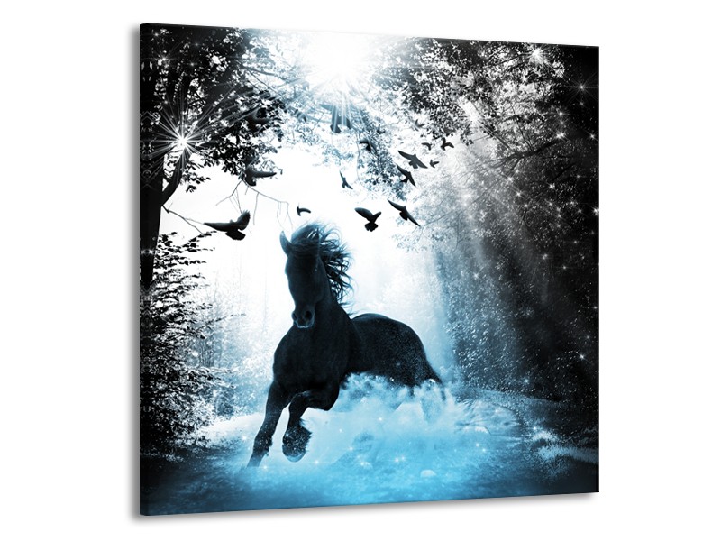 Canvas Schilderij Paard, Dieren | Blauw, Zwart, Wit | 70x70cm 1Luik