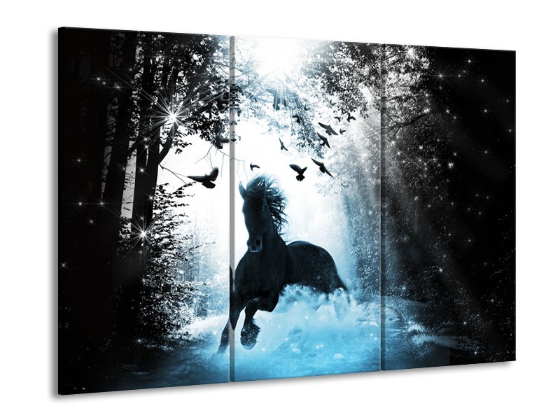 Canvas Schilderij Paard, Dieren | Blauw, Zwart, Wit | 60x90cm 3Luik