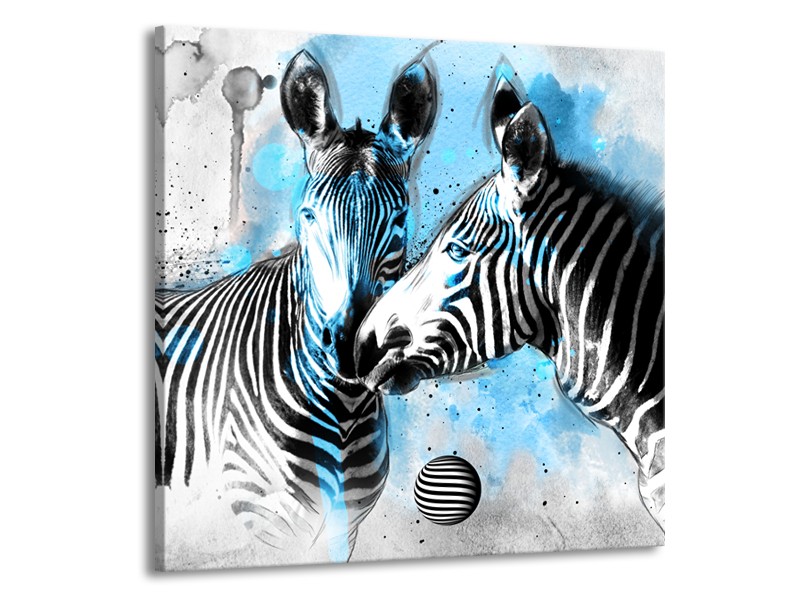 Glasschilderij Zebra, Dieren | Blauw, Zwart, Wit | 50x50cm 1Luik