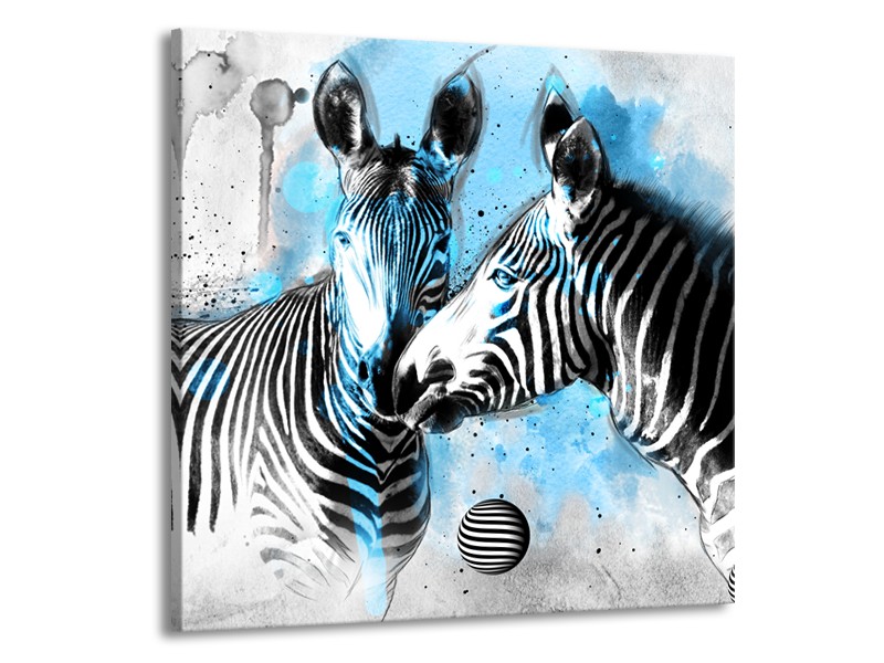 Glasschilderij Zebra, Dieren | Blauw, Zwart, Wit | 70x70cm 1Luik