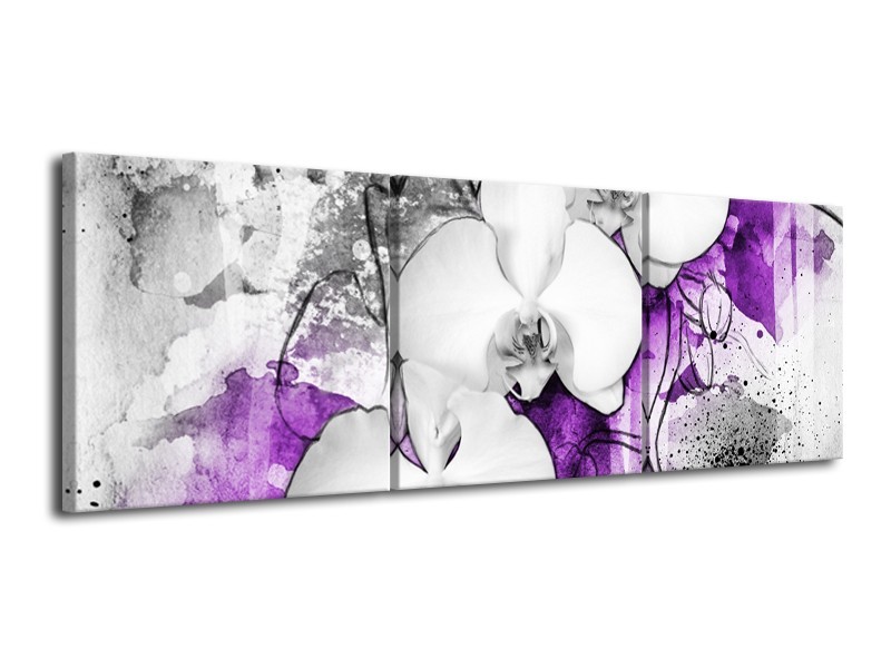 Canvas Schilderij Bloem, Orchidee | Grijs, Paars, Wit | 120x40cm 3Luik