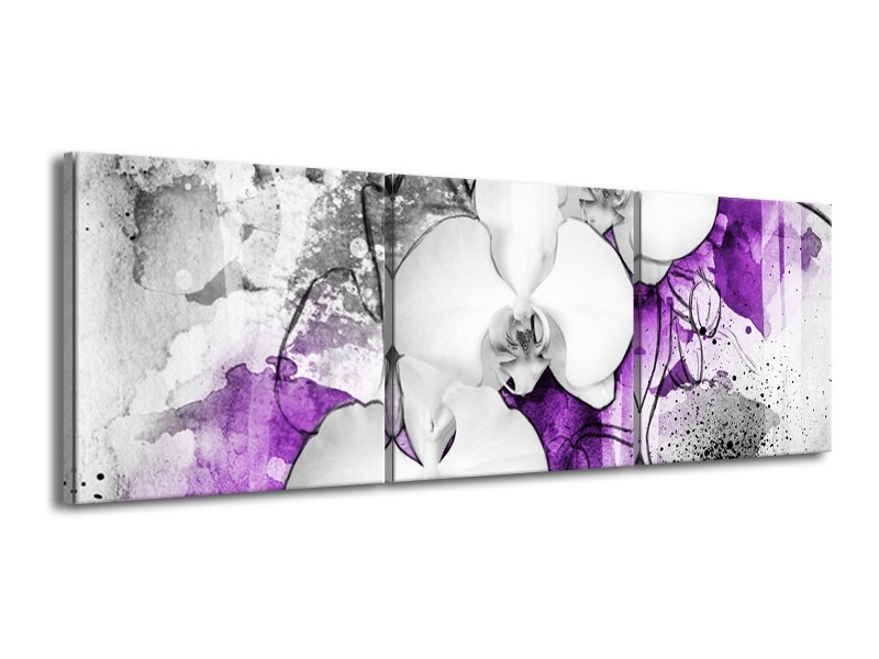 Canvas Schilderij Bloem, Orchidee | Grijs, Paars, Wit | 150x50cm 3Luik