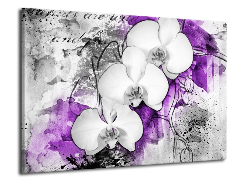 Canvas Schilderij Bloem, Orchidee | Grijs, Paars, Wit | 70x50cm 1Luik