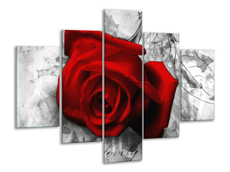 Glasschilderij Roos, Bloem | Rood, Zwart, Wit | 100x70cm 5Luik