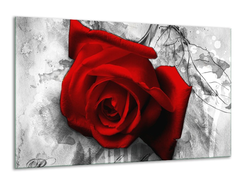 Canvas Schilderij Roos, Bloem | Rood, Zwart, Wit | 120x70cm 1Luik