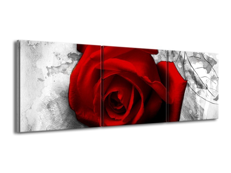 Glasschilderij Roos, Bloem | Rood, Zwart, Wit | 150x50cm 3Luik