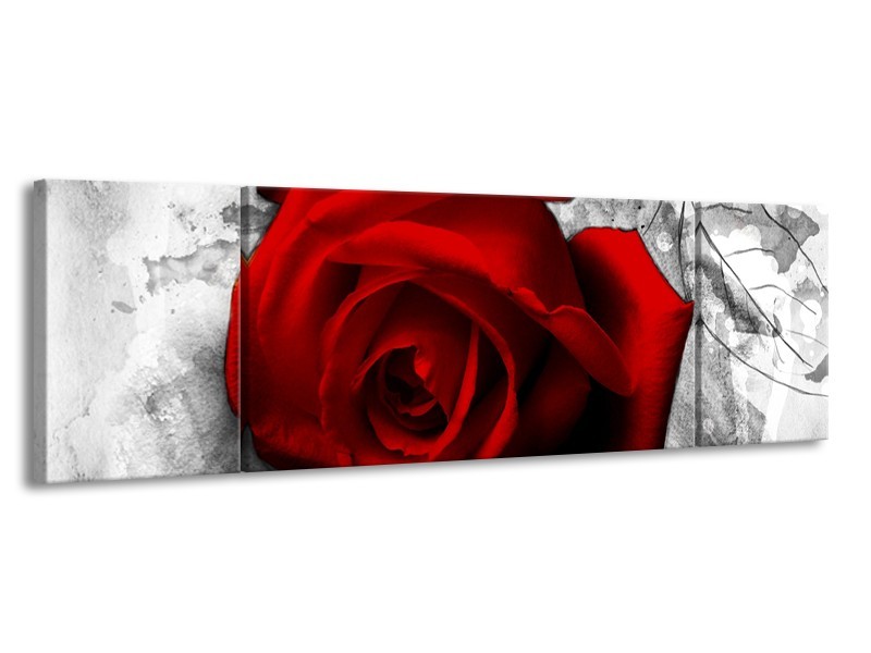 Canvas Schilderij Roos, Bloem | Rood, Zwart, Wit | 170x50cm 3Luik