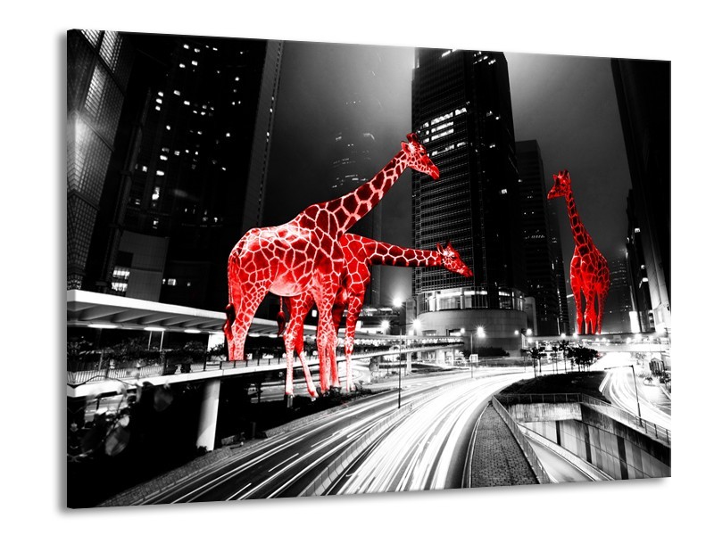 Canvas Schilderij Steden, Giraffe | Zwart, Wit, Rood | 100x70cm 1Luik