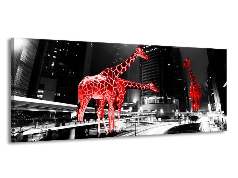 Canvas Schilderij Steden, Giraffe | Zwart, Wit, Rood | 145x58cm 1Luik