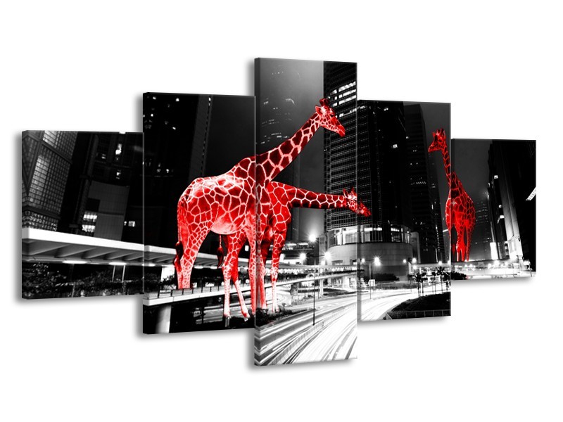 Glasschilderij Steden, Giraffe | Zwart, Wit, Rood | 150x80cm 5Luik