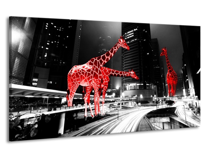 Canvas Schilderij Steden, Giraffe | Zwart, Wit, Rood | 190x100cm 1Luik