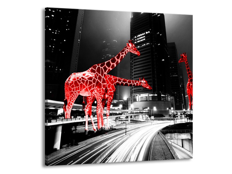 Glasschilderij Steden, Giraffe | Zwart, Wit, Rood | 50x50cm 1Luik