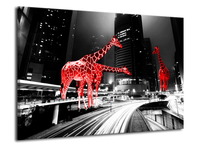 Glasschilderij Steden, Giraffe | Zwart, Wit, Rood | 70x50cm 1Luik