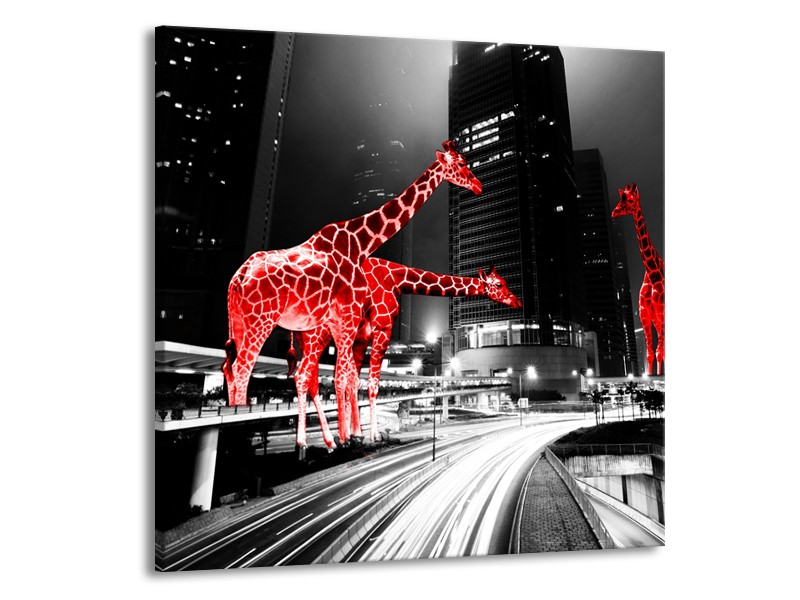 Canvas Schilderij Steden, Giraffe | Zwart, Wit, Rood | 70x70cm 1Luik