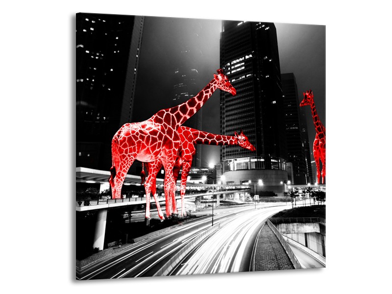 Canvas Schilderij Steden, Giraffe | Zwart, Wit, Rood | 70x70cm 1Luik