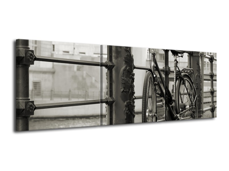 Glasschilderij Fiets | Grijs, Zwart | 120x40cm 3Luik