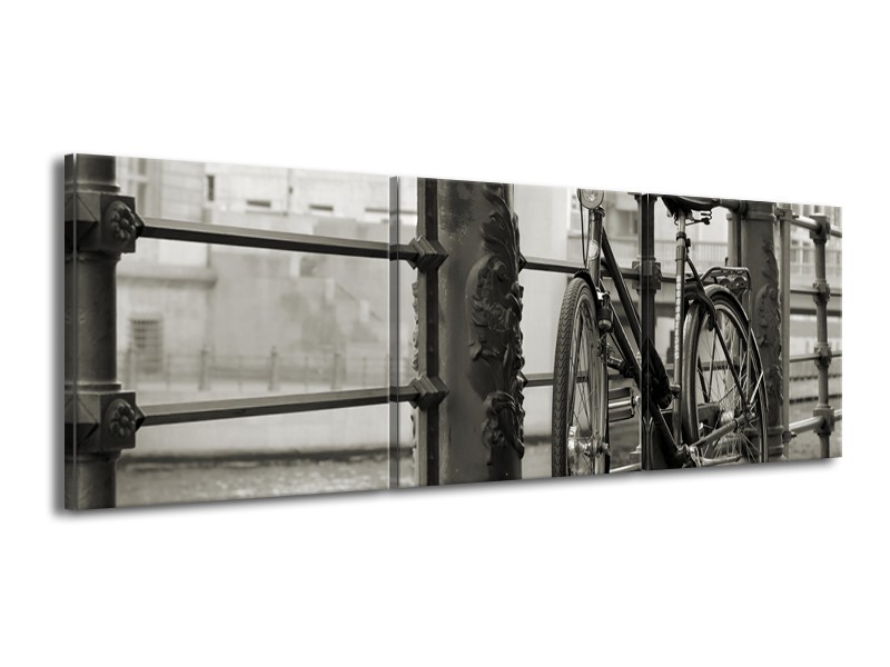 Glasschilderij Fiets | Grijs, Zwart | 150x50cm 3Luik