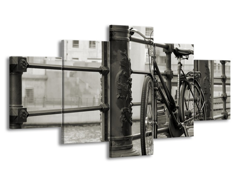 Glasschilderij Fiets | Grijs, Zwart | 150x80cm 5Luik