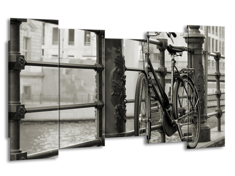 Glasschilderij Fiets | Grijs, Zwart | 150x80cm 5Luik