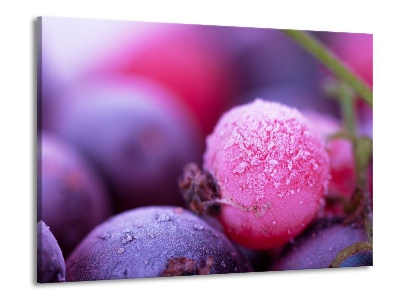 Canvas Schilderij Fruit, Keuken | Paars, Roze | 100x70cm 1Luik
