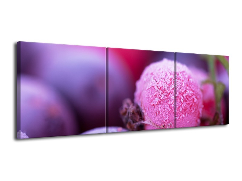 Canvas Schilderij Fruit, Keuken | Paars, Roze | 120x40cm 3Luik
