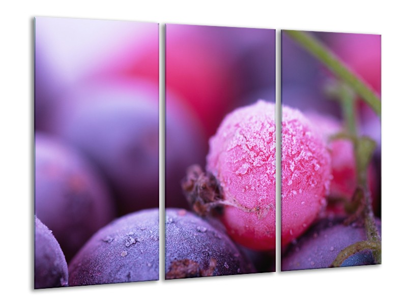 Canvas Schilderij Fruit, Keuken | Paars, Roze | 120x80cm 3Luik