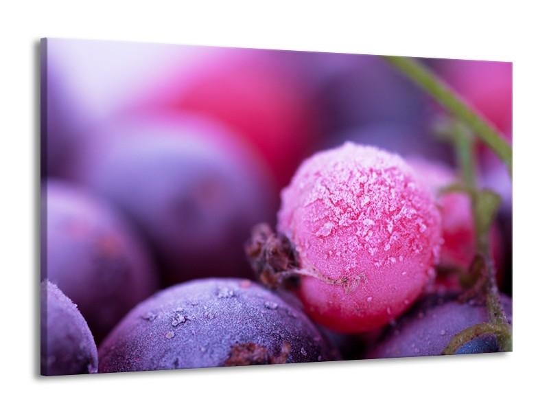 Canvas Schilderij Fruit, Keuken | Paars, Roze | 140x90cm 1Luik