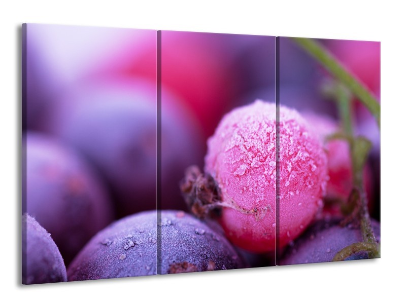 Canvas Schilderij Fruit, Keuken | Paars, Roze | 165x100cm 3Luik