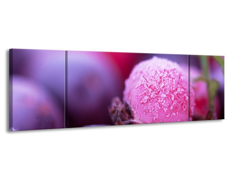 Canvas Schilderij Fruit, Keuken | Paars, Roze | 170x50cm 3Luik