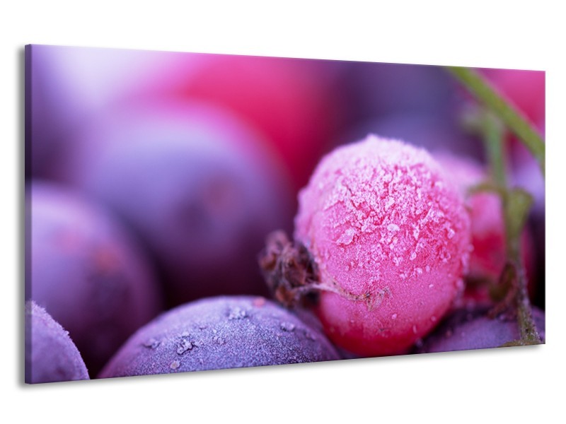 Canvas Schilderij Fruit, Keuken | Paars, Roze | 190x100cm 1Luik